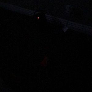 Meet your Posher, Toya